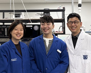 KAIST, 상온에서도 작동하는 차세대 리튬메탈전지 고체 전해질 개발